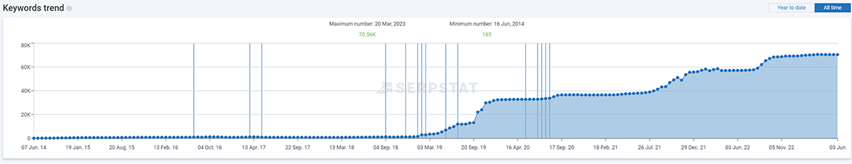 scl_4 Важность системного и регулярного SEO-продвижения: история одного интернет-магазина